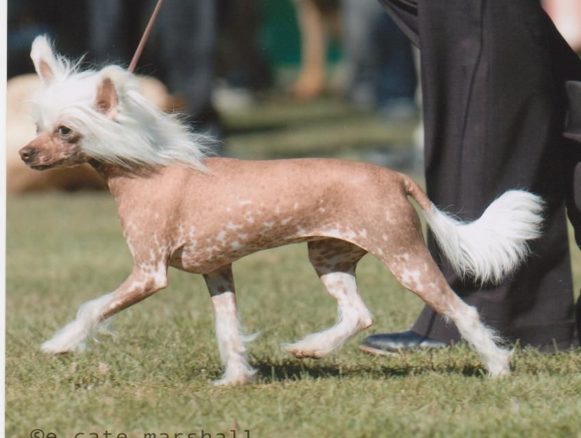 Koreke Visio Of Deus With Xioma  