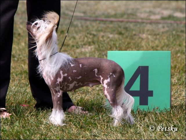 Sun Dan Chocolate Baby