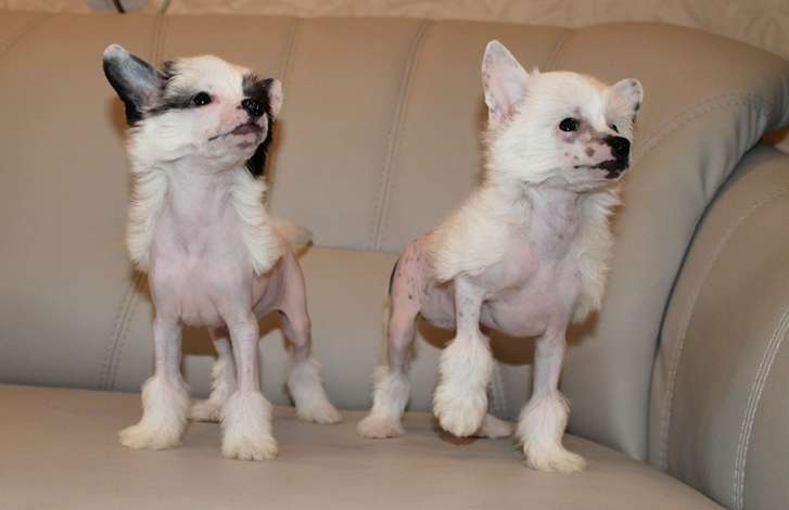 Magnet Success It's All Best