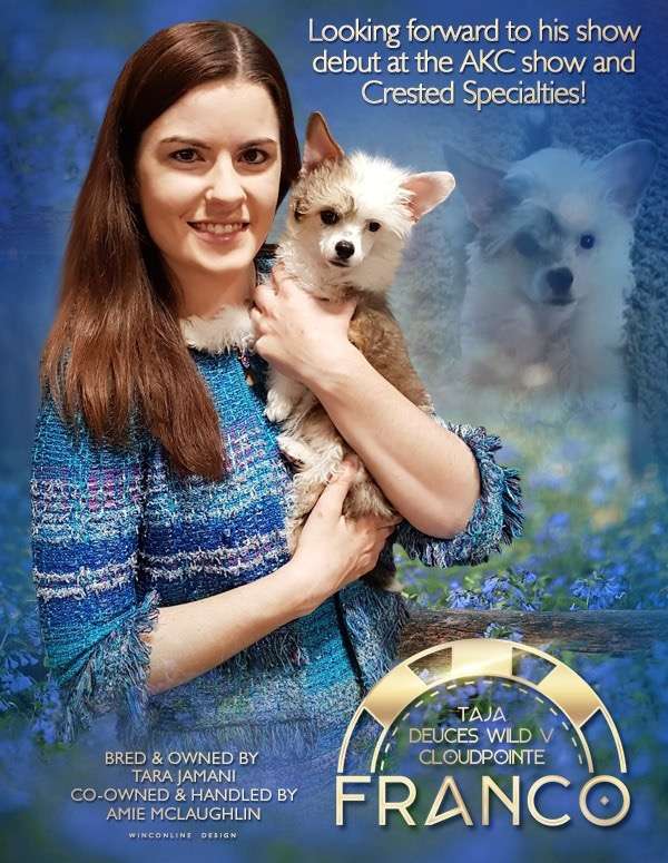 Taja Deuces Wild V Cloudpointe