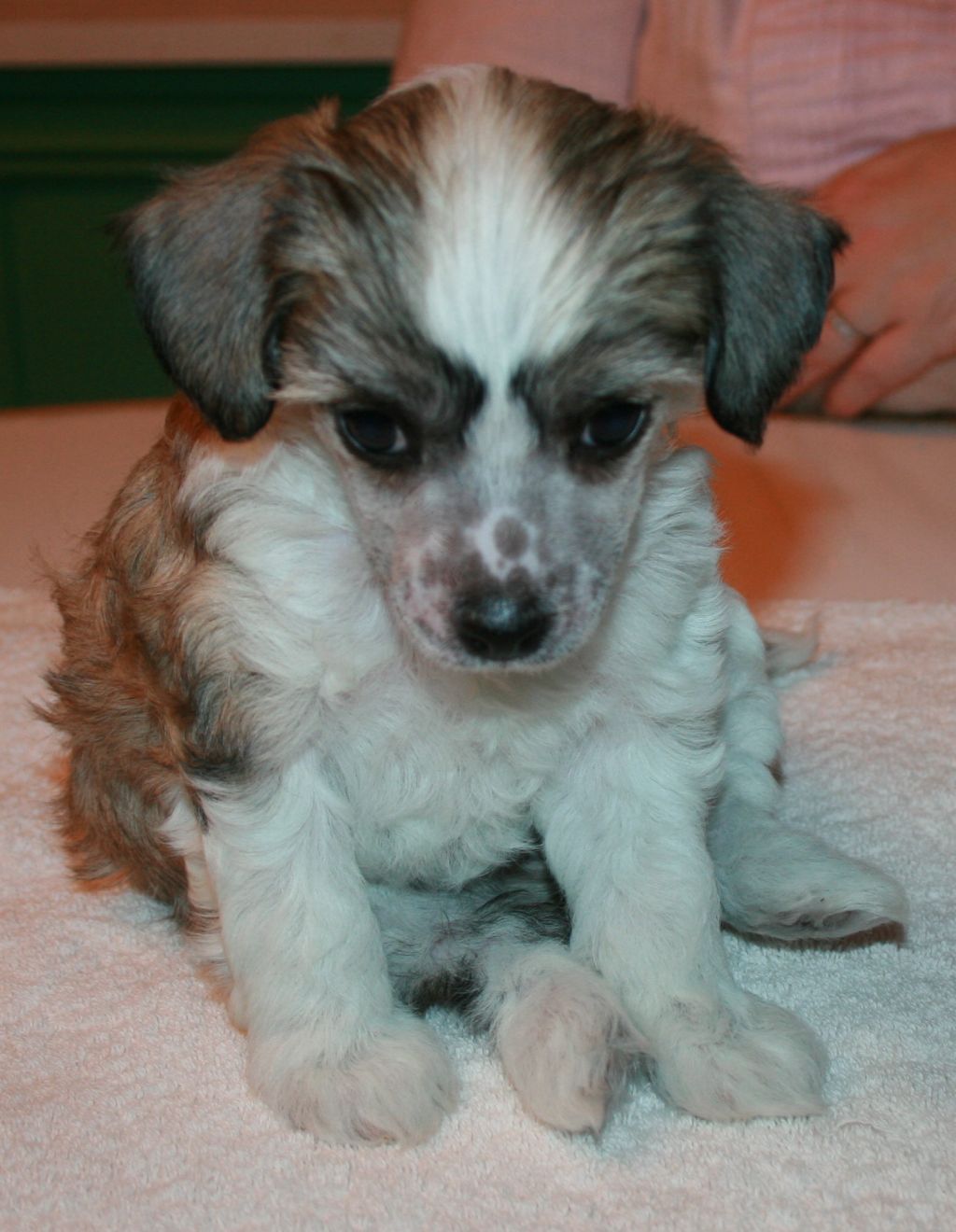 Picture