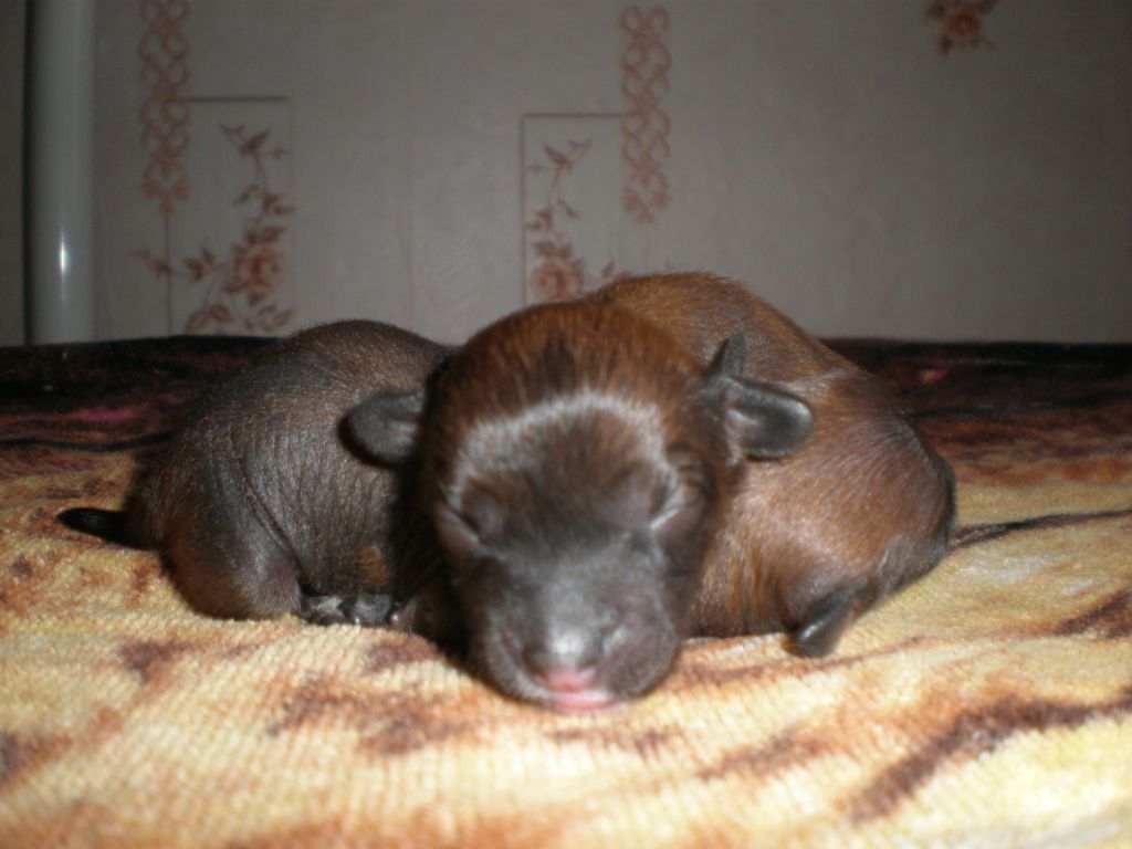Picture