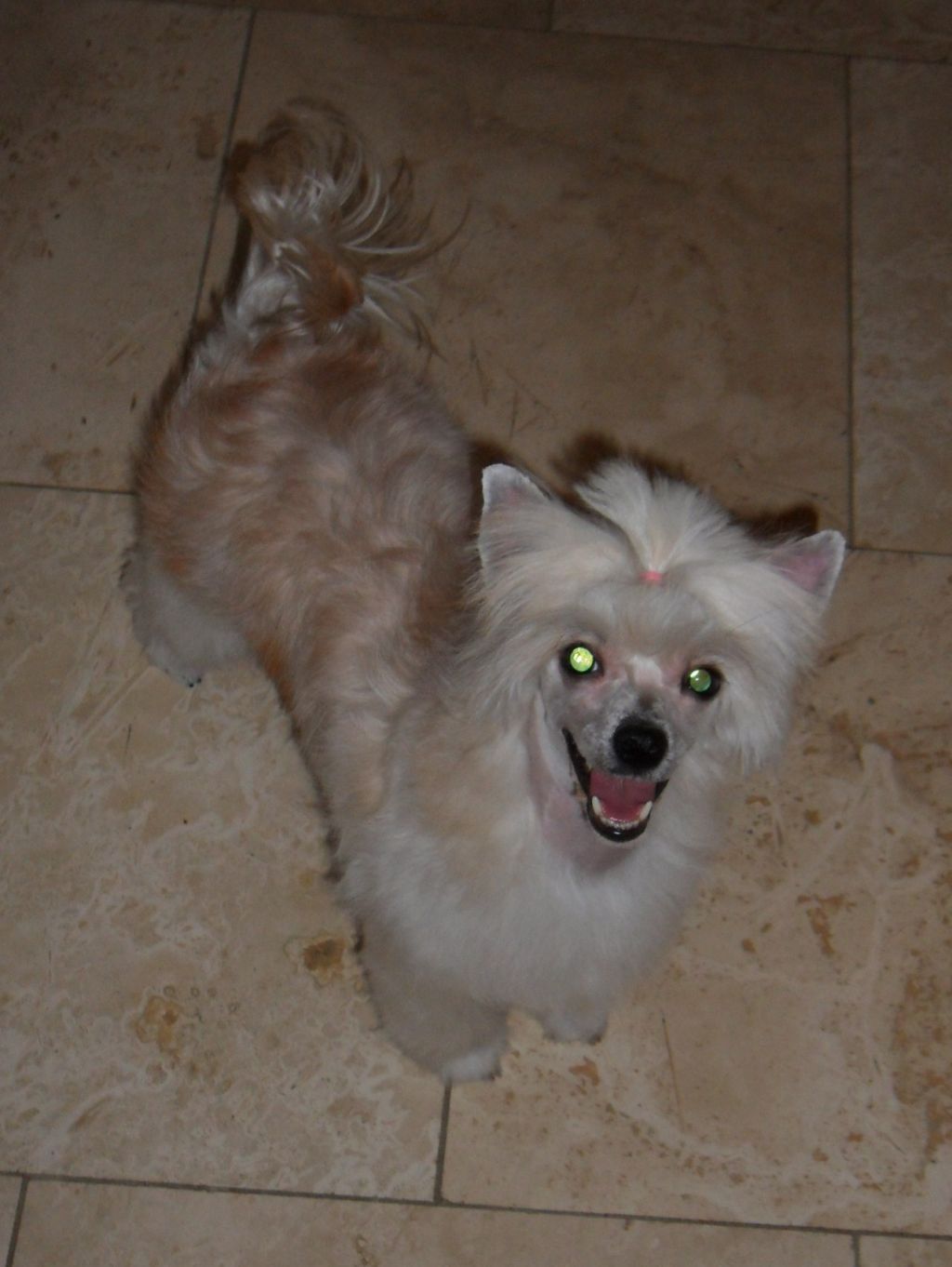 Tink's Loco Peaches N Cream by Jove