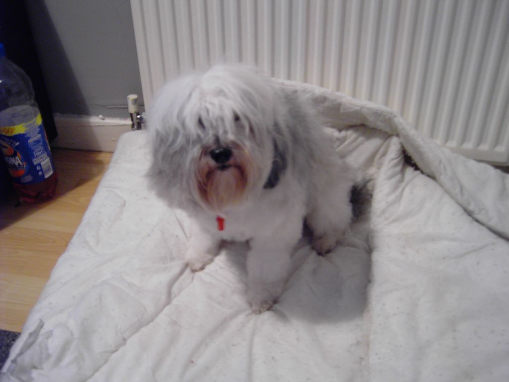 Reikira Whisper in the wind