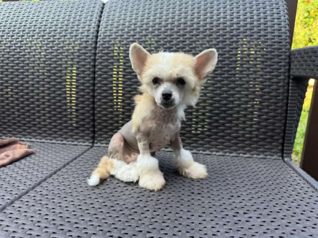 Barbie Ciotola Piena