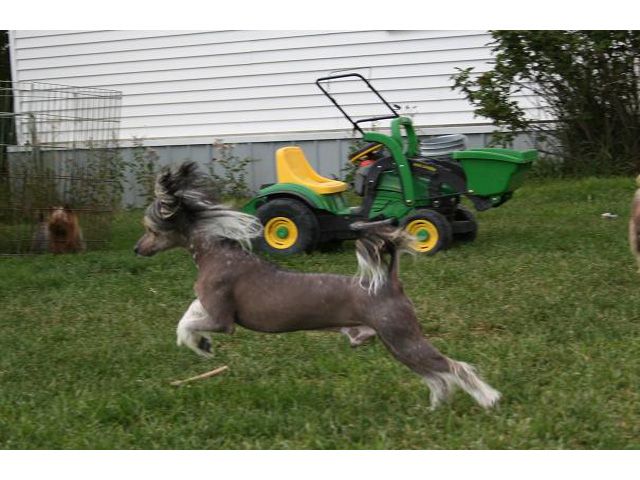 Yorkhouse Interview a Vampire