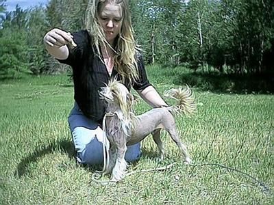 Kasma's Sultan Of Swing