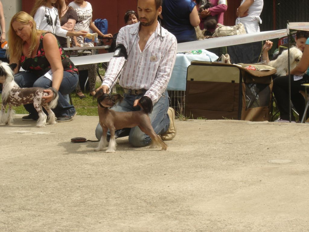 Fiki-Miki Capo Vaticano