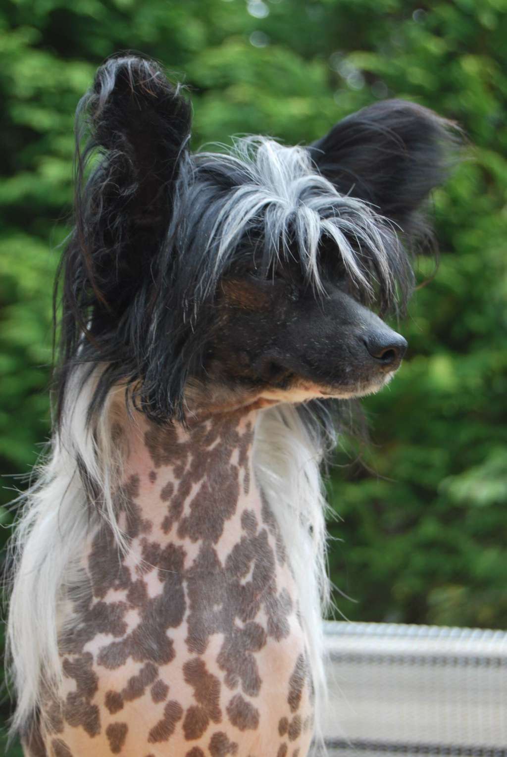 Moment of Glory Belle Etoile