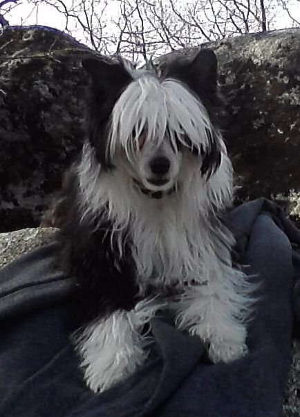 Kiss of dark de Almamasan