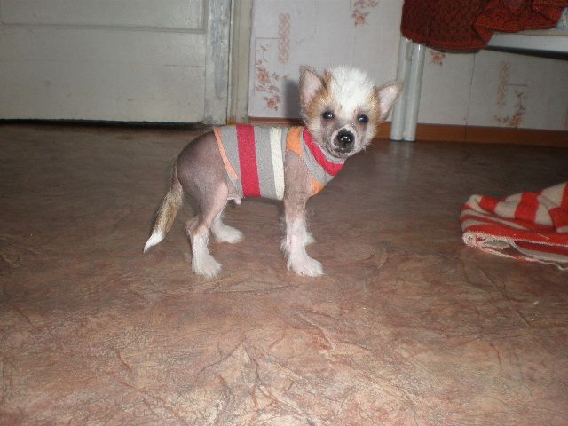 Picture