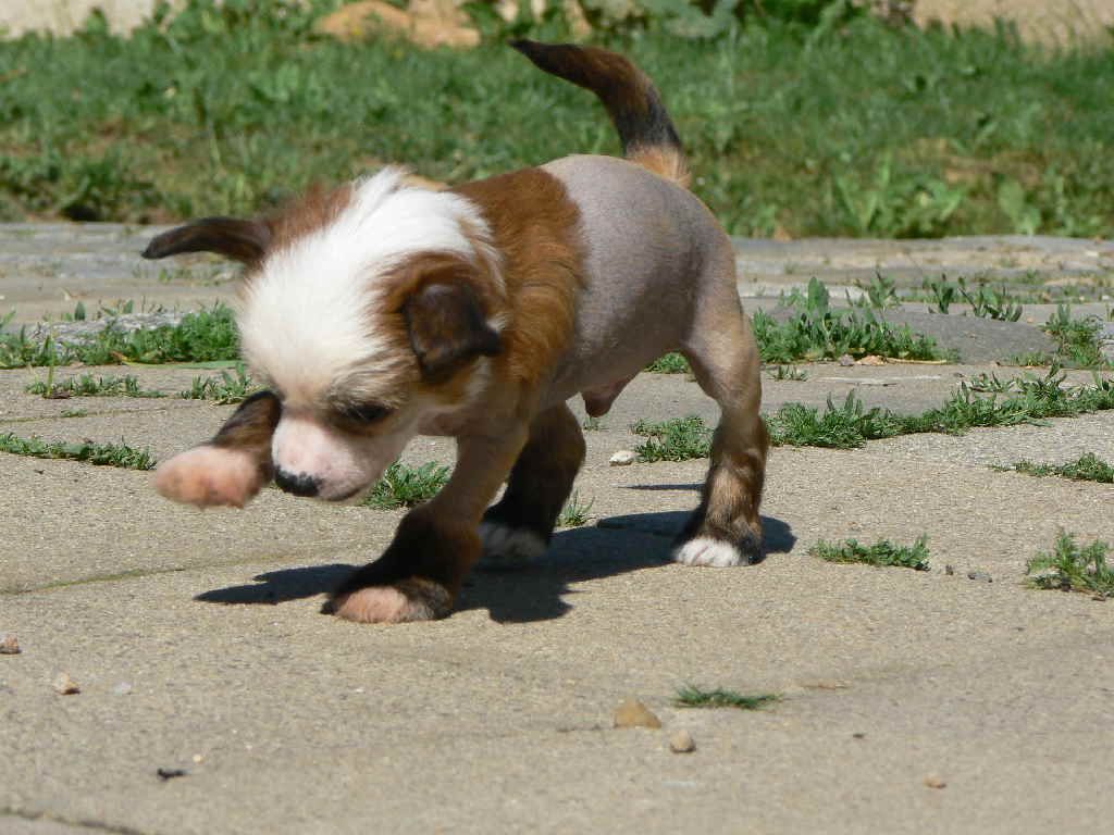 Picture