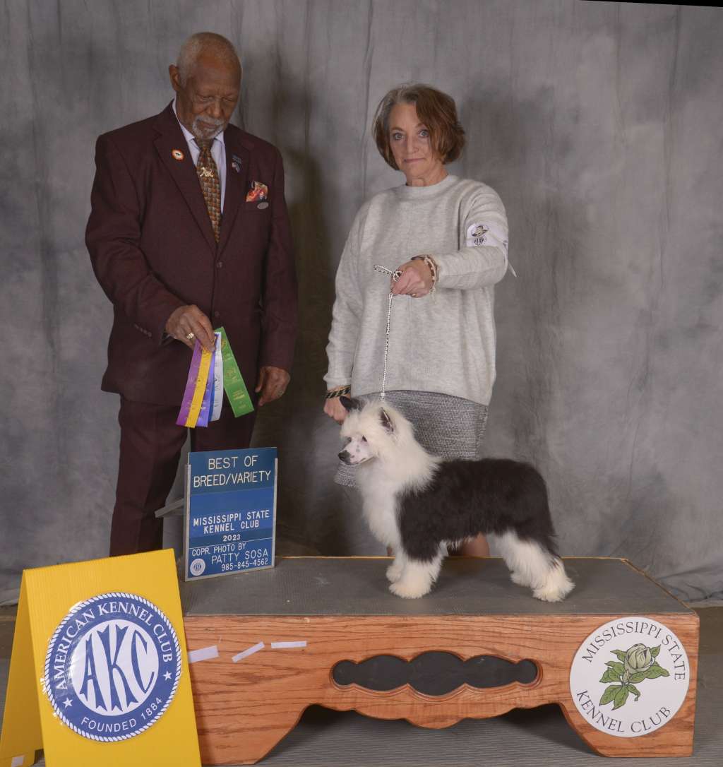 BleuKrewe & Kaylen's A Whole Lot of Hearsay