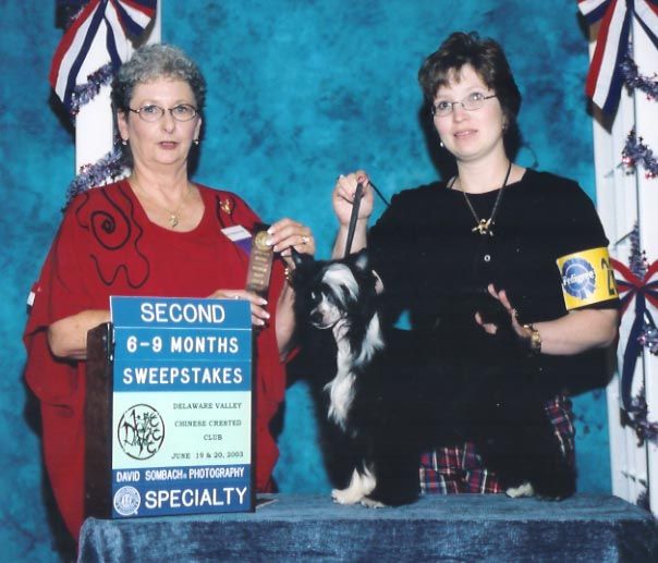 Earlylite No Kidding