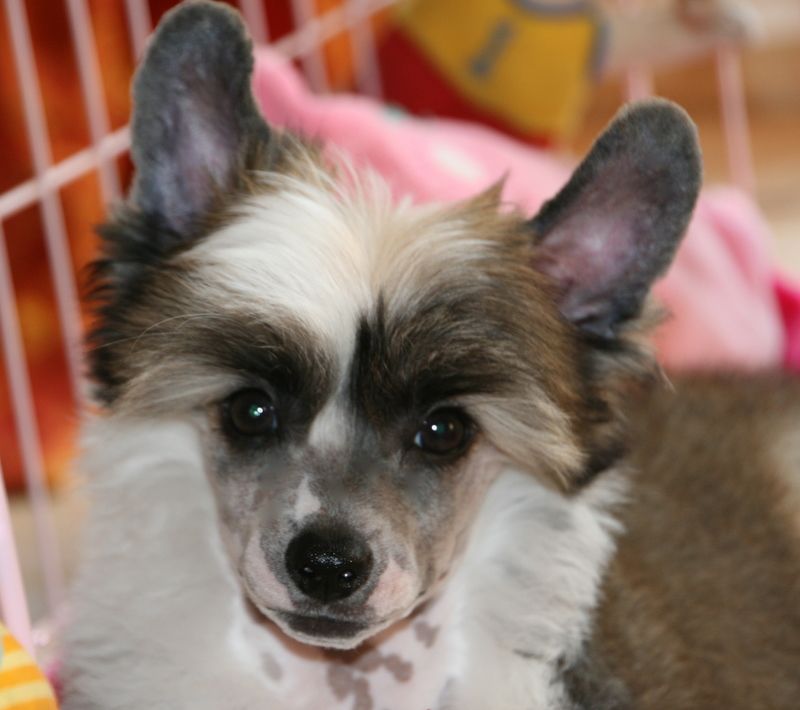 Solino's Zero To Hero