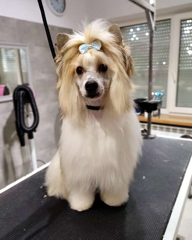 Etienne Insolite Familier