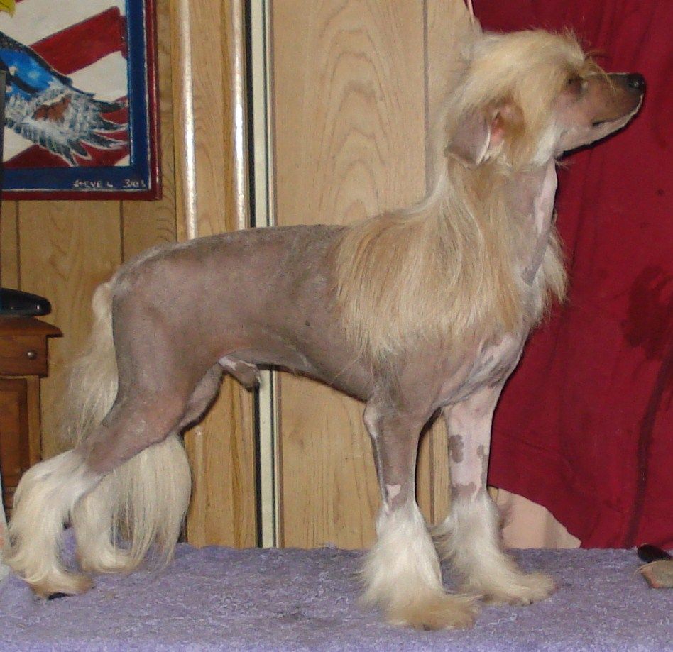 Spiritual Rhinestone Cowboy