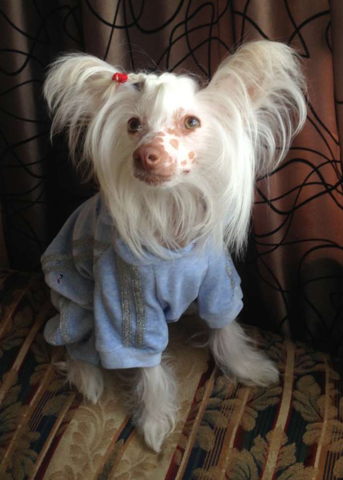 Ogni Stolitsy Jemchuzhinka