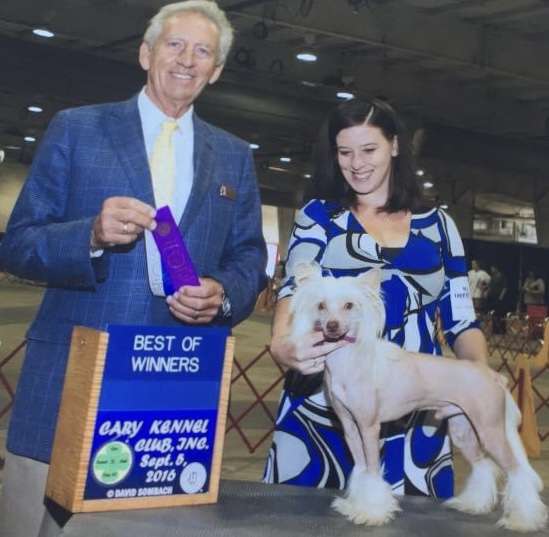 Noahs Windsong Stop The Rain At Hollars