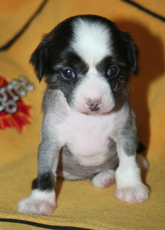 Picture