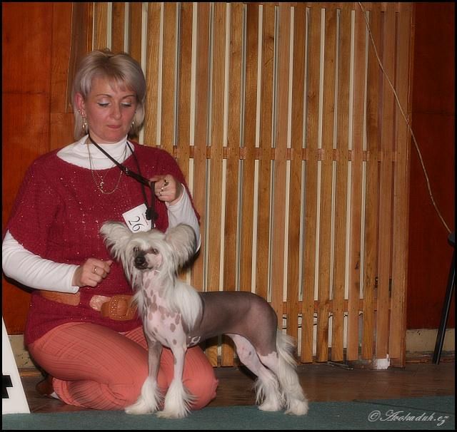 Gi Tanaki  z Teramonu