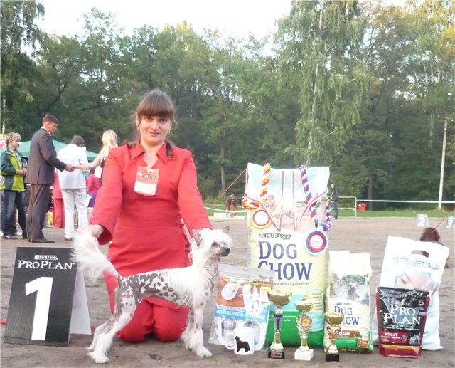 Picture