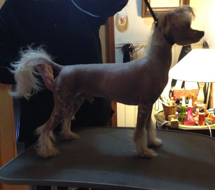 Tournais Greatest Hits From Sweden