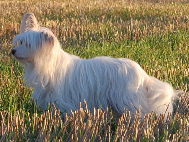 Bozo Gang's Kindest Regards