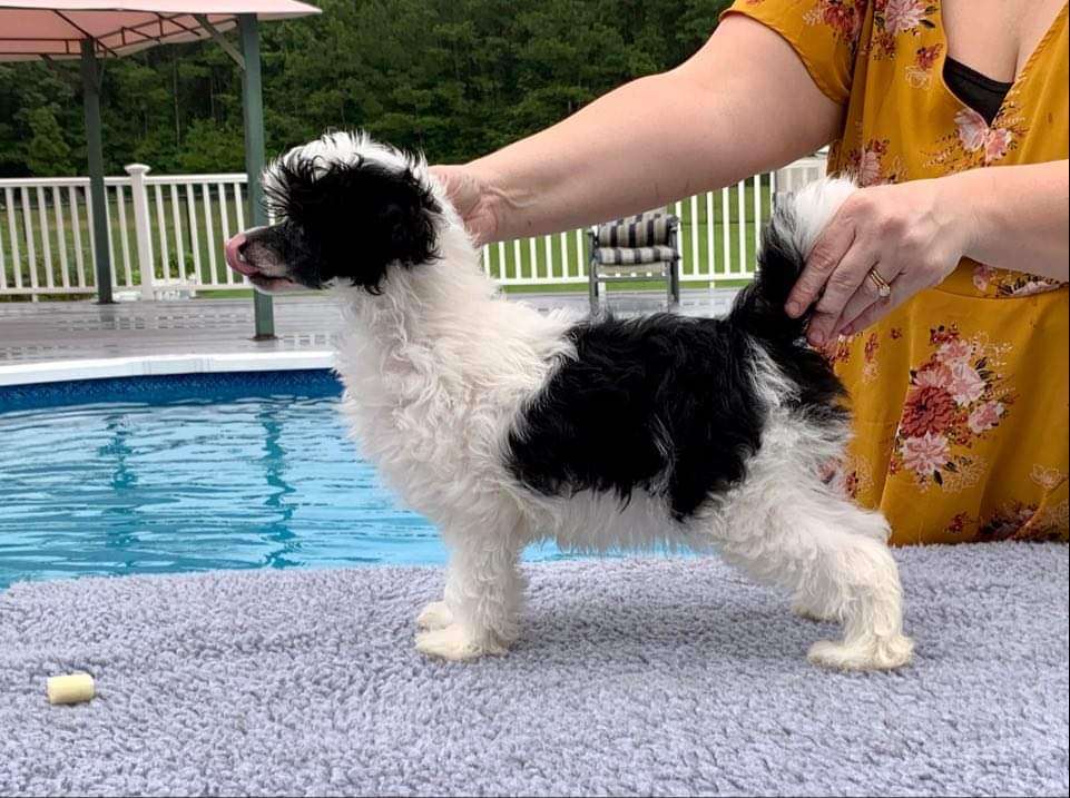 Kellyn N Dasha Call Me An Uber