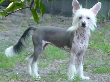 Kalypso's Whoop-Dee-Do