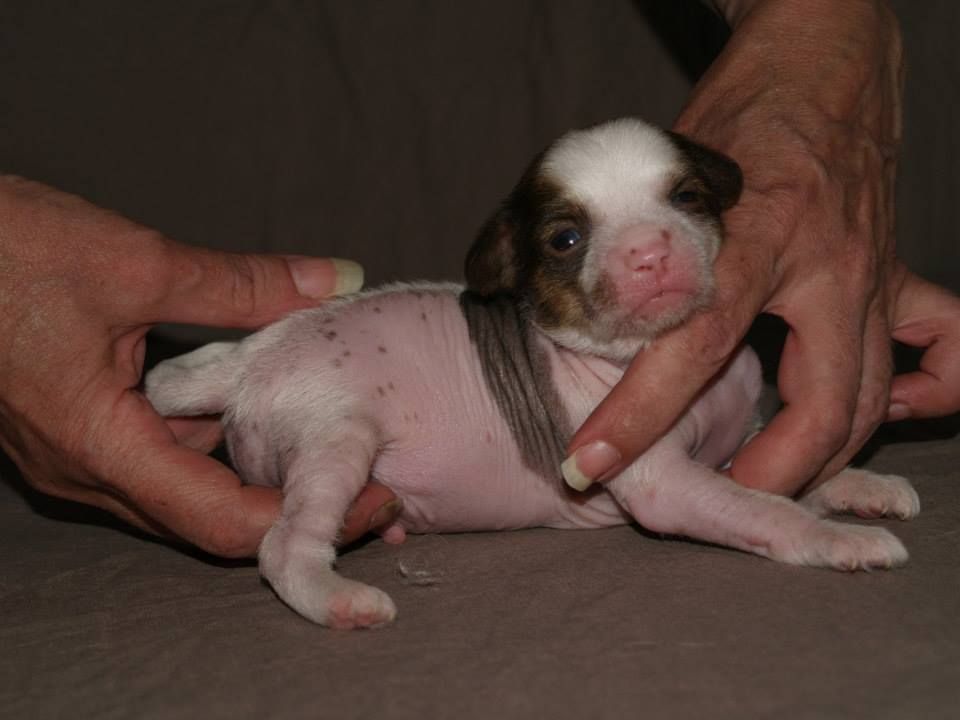 Black-Diva's Man Of Your Dreams