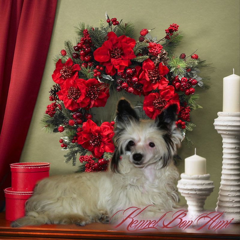 Redkoye Schast'ye Afrodita (Happiness is a rare Ap