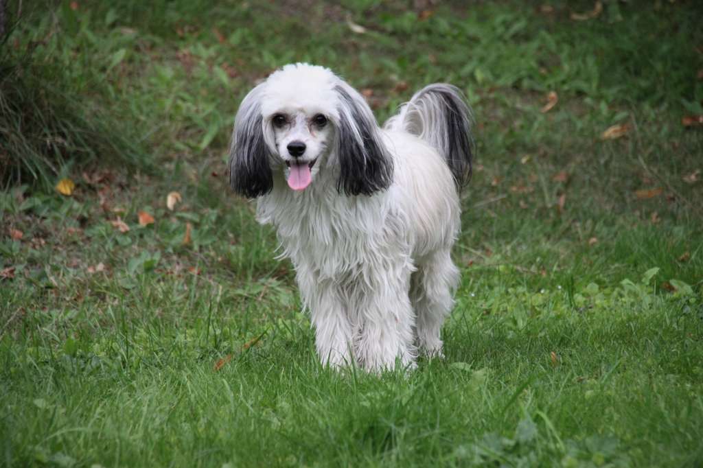 Joyway's Neverending Story