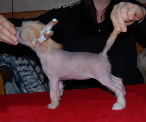 I'skytrouble's Born To Be Pretty