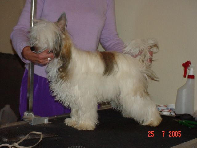 Dokkum Partly Cloudy