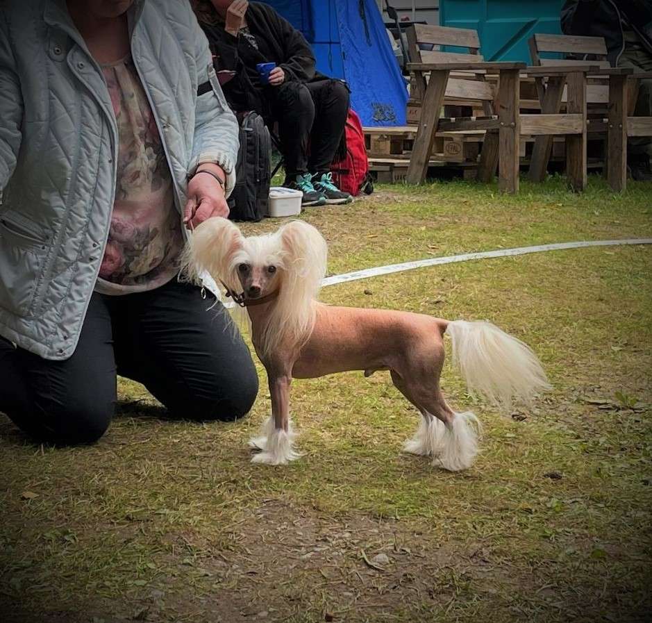 Sirocco Victory Is Taken Not Given