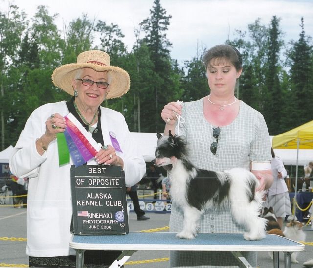 D'Nude's Leather And Lace