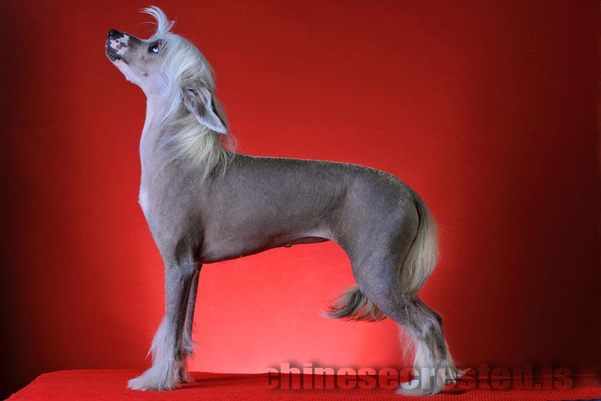 Practical Hero Angelina Jolie