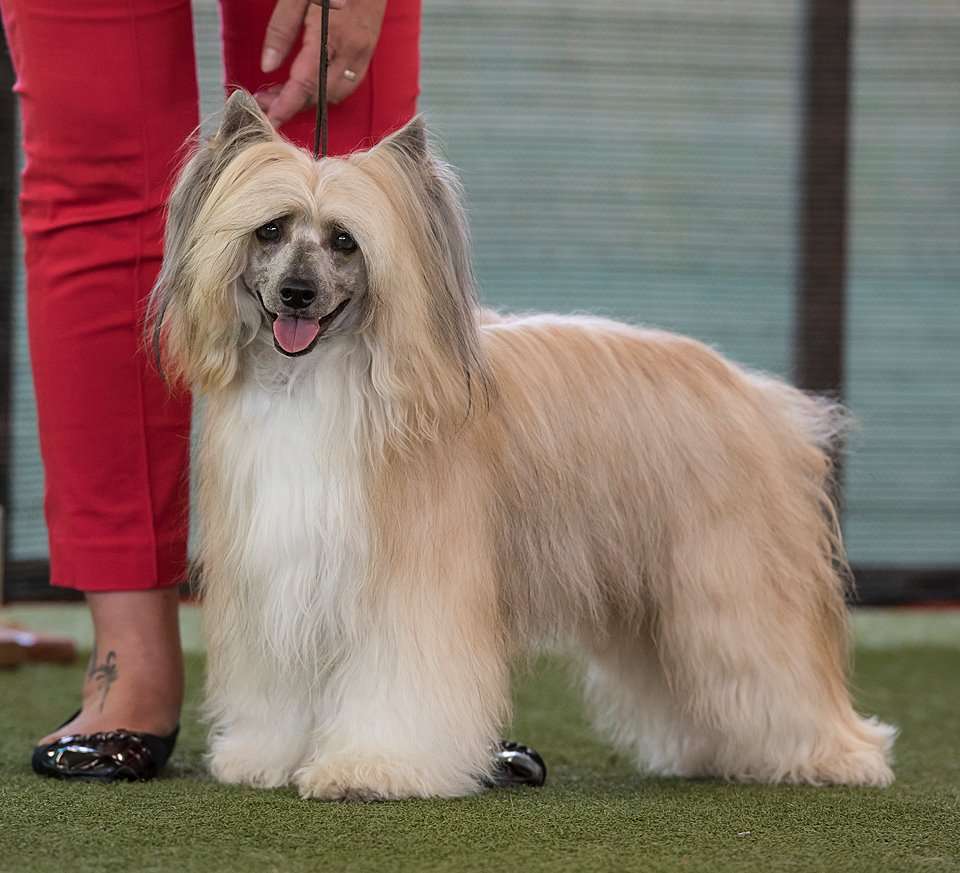 Cameron Clary Aldrigen