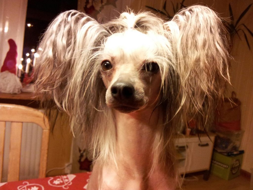 Suanho's Little Big Man