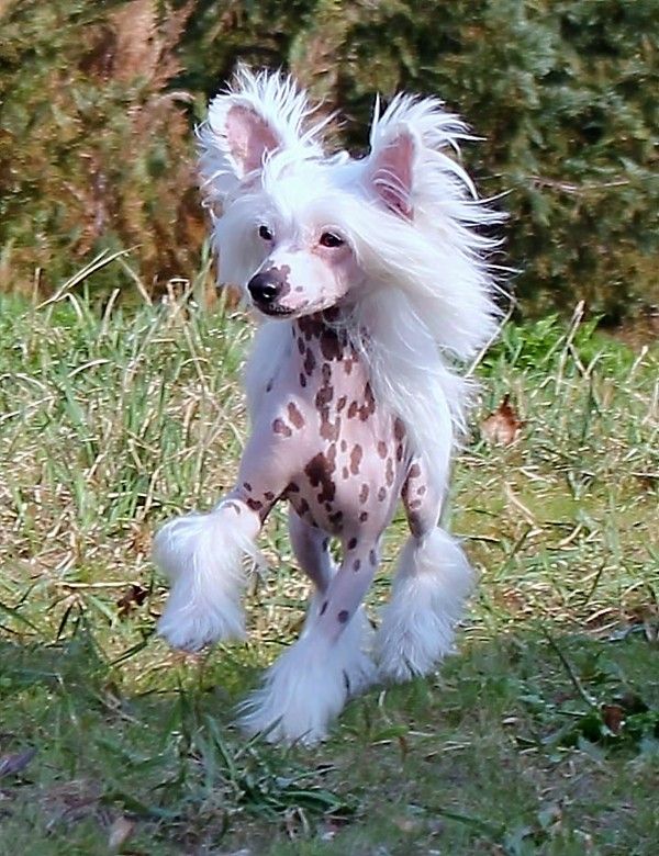 Cipracrest's Life Thru A Lens