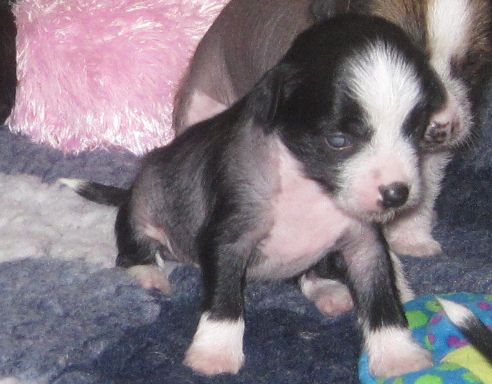 Picture