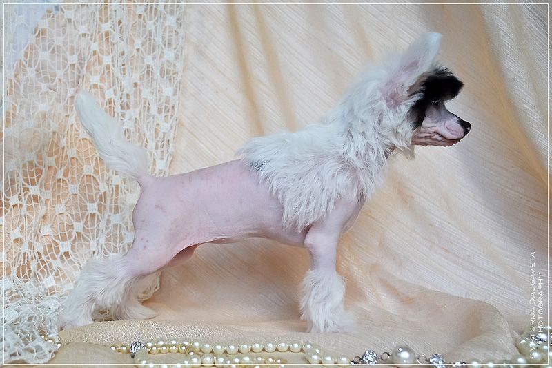 Afrodite Beauty Magic Legends