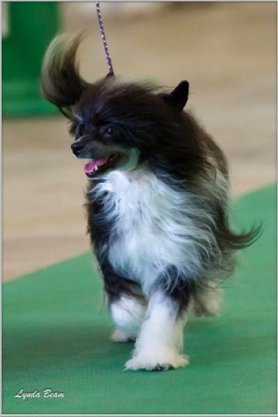 SandStorm Maybe It's Maybelline