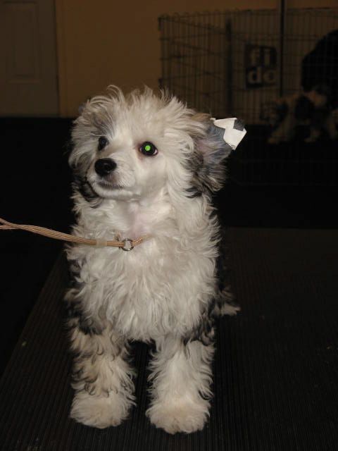 Mazel Tov's Life's a Breeze