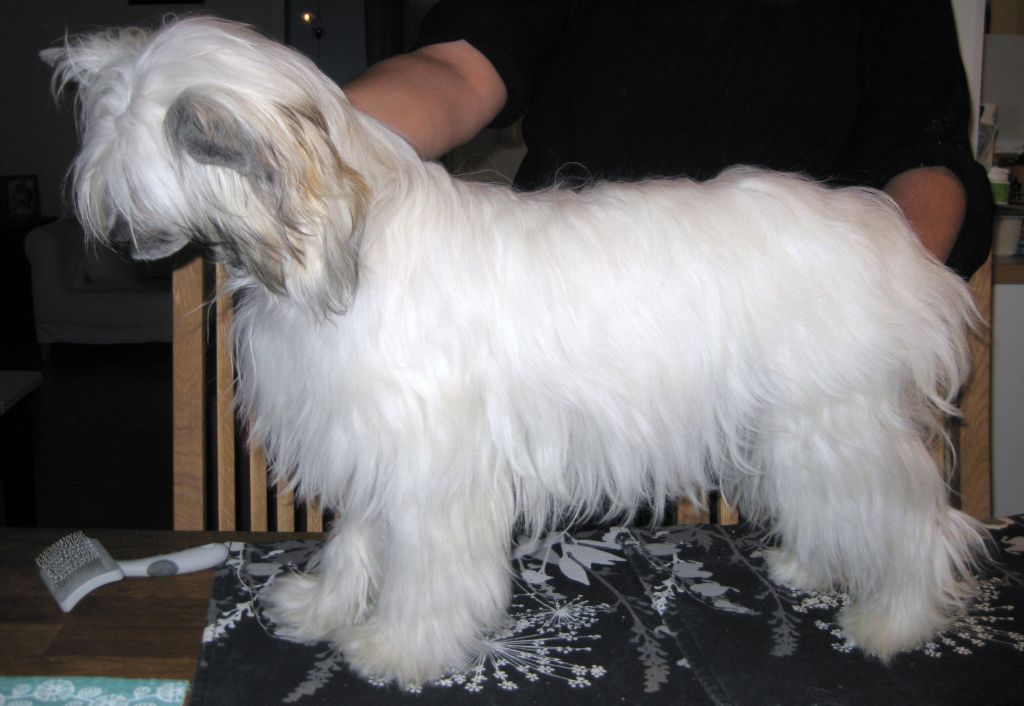 Aquacrest See U In Court 