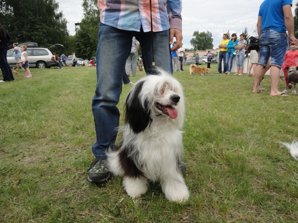 Tekila La'Diva Bonus Westtai