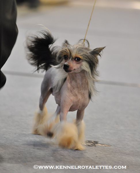 Finka-Minka Capo Vaticano