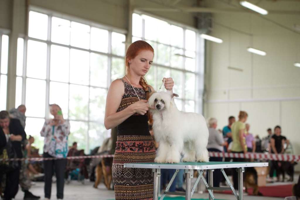 Elance Louange La Calisa Divnay Orchid