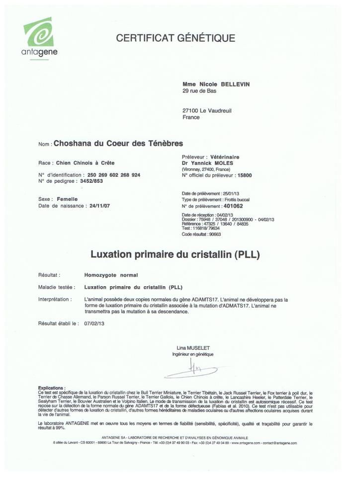 Choshana Du Coeur Des Tenebres